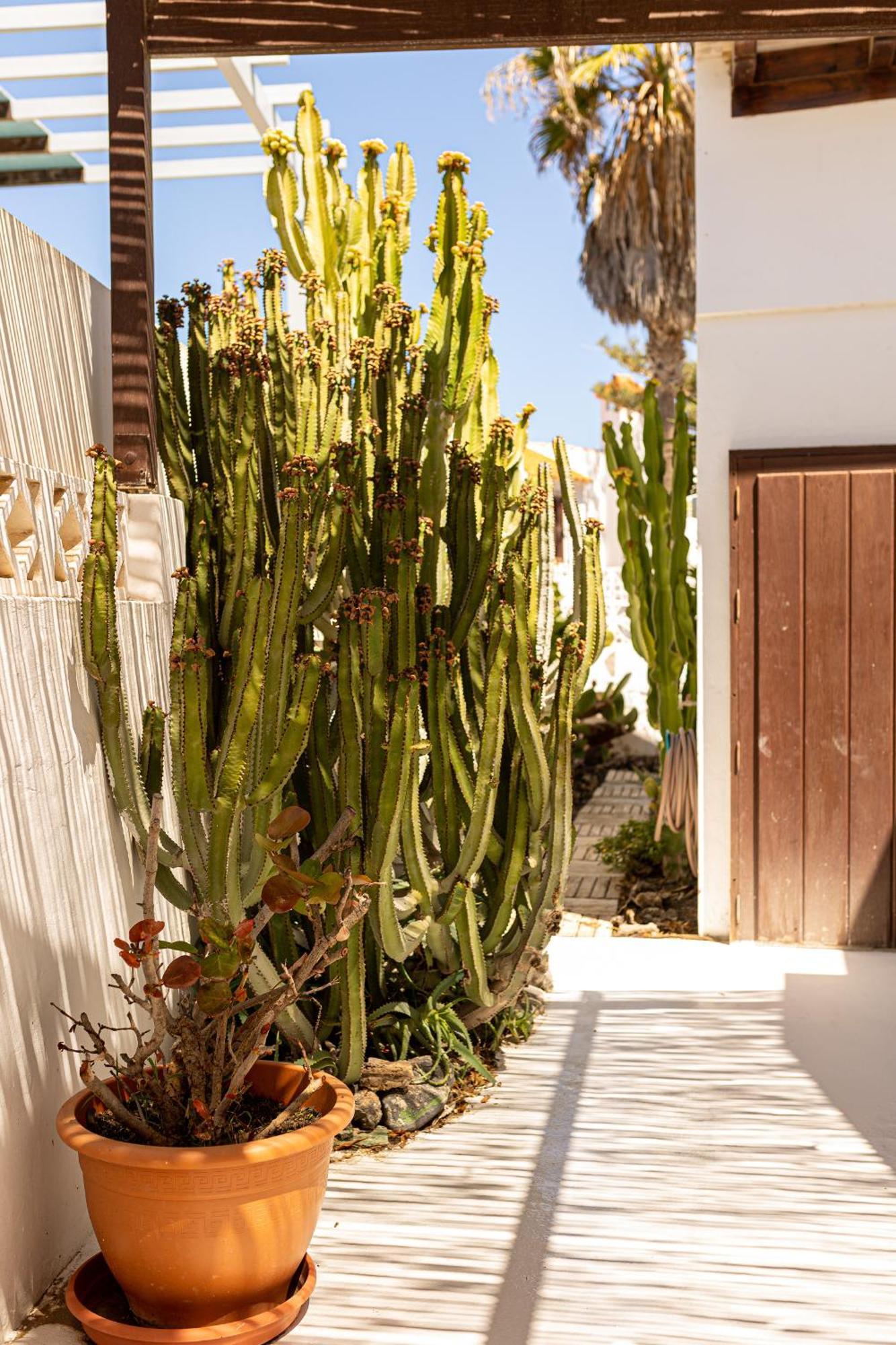 El Piloto By Best Holidays Fuerteventura كوراليهو المظهر الخارجي الصورة